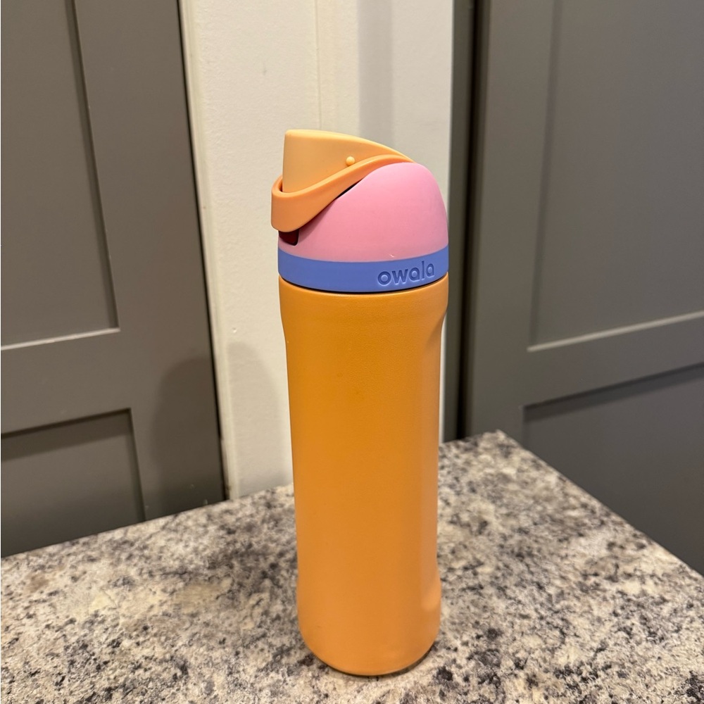 Owala 32 oz. FreeSip Stainless Steel Water Bottle